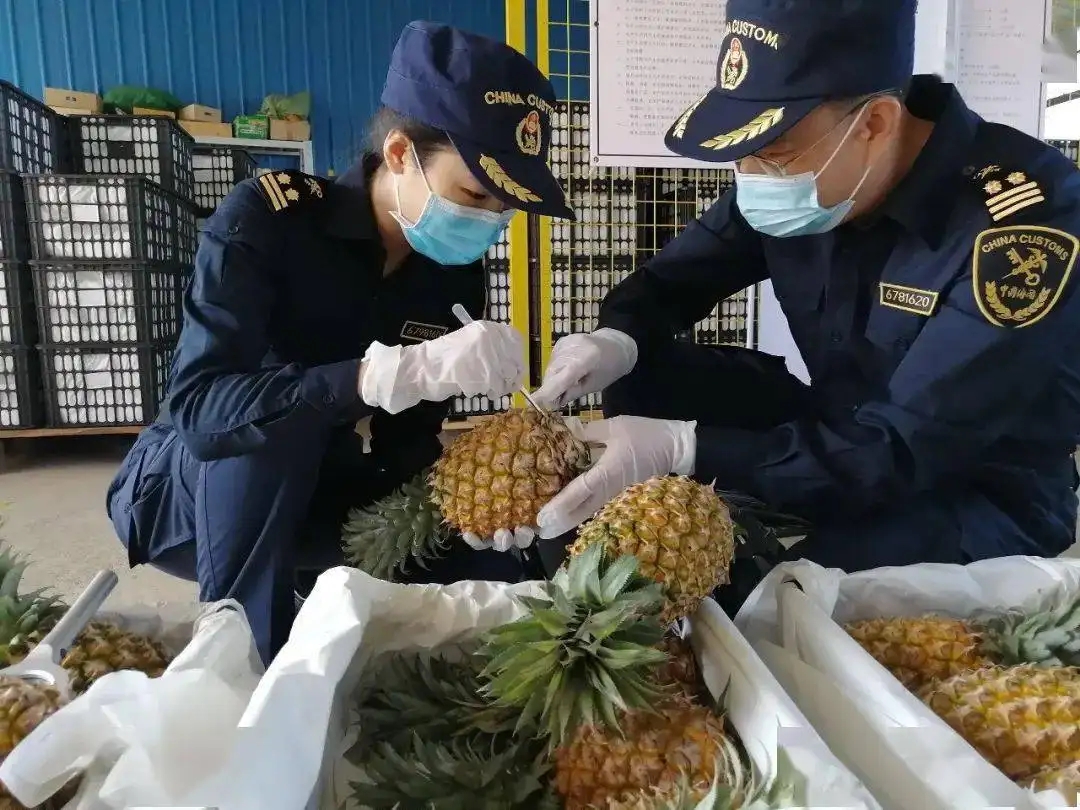 澳门彩资料官方网站www