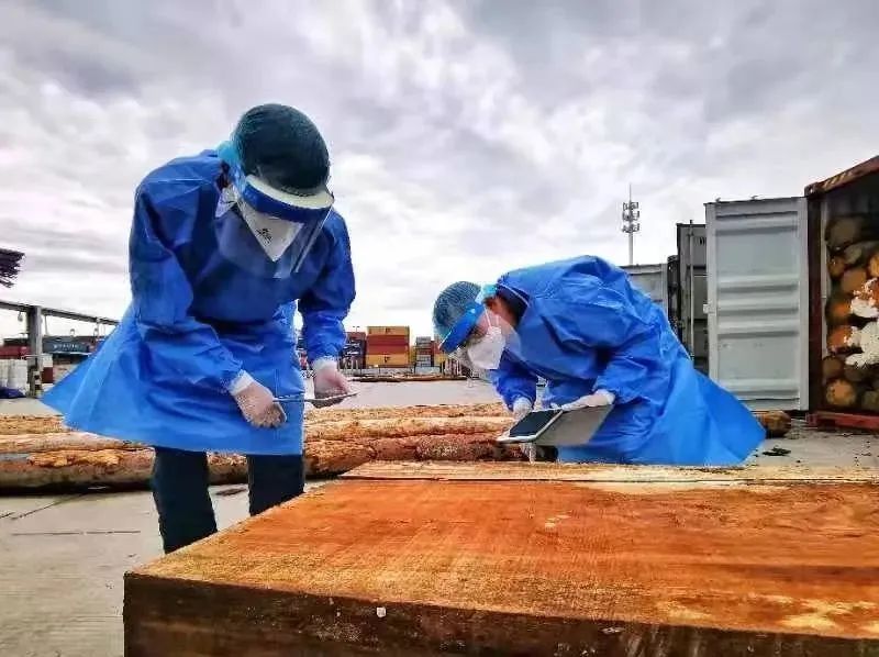 澳门彩资料官方网站www