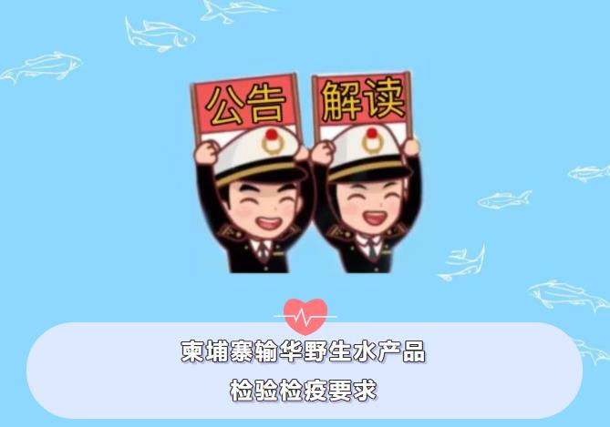 澳门彩资料官方网站www