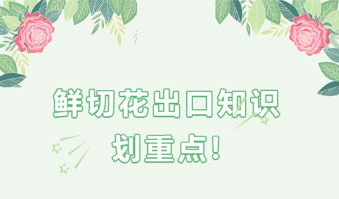 澳门彩资料官方网站www